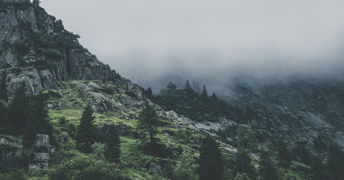 Bilan écologique : comprendre son impact sur notre environnement