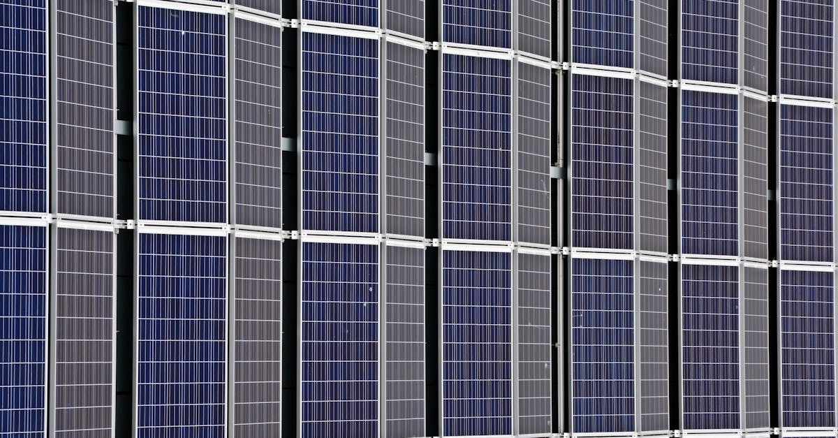 découvrez des solutions et des pratiques durables pour un avenir plus responsable. explorez comment la durabilité impacte notre environnement, notre société et notre économie, tout en adoptant des gestes simples au quotidien.