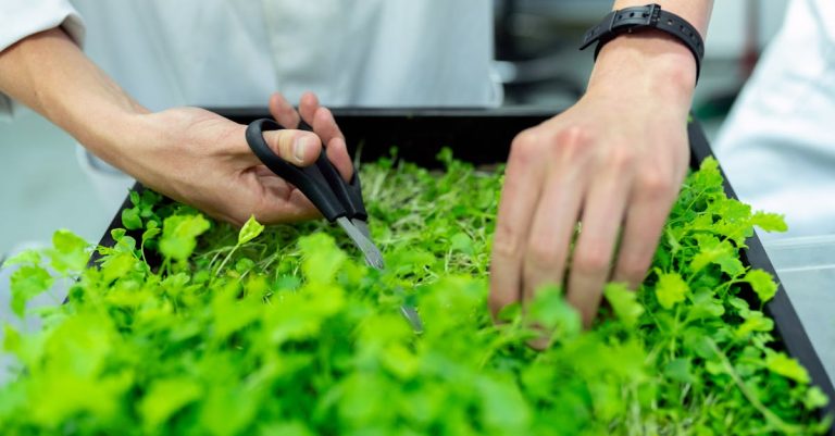 Durabilité et innovation : Les nouvelles solutions pour un avenir écologique