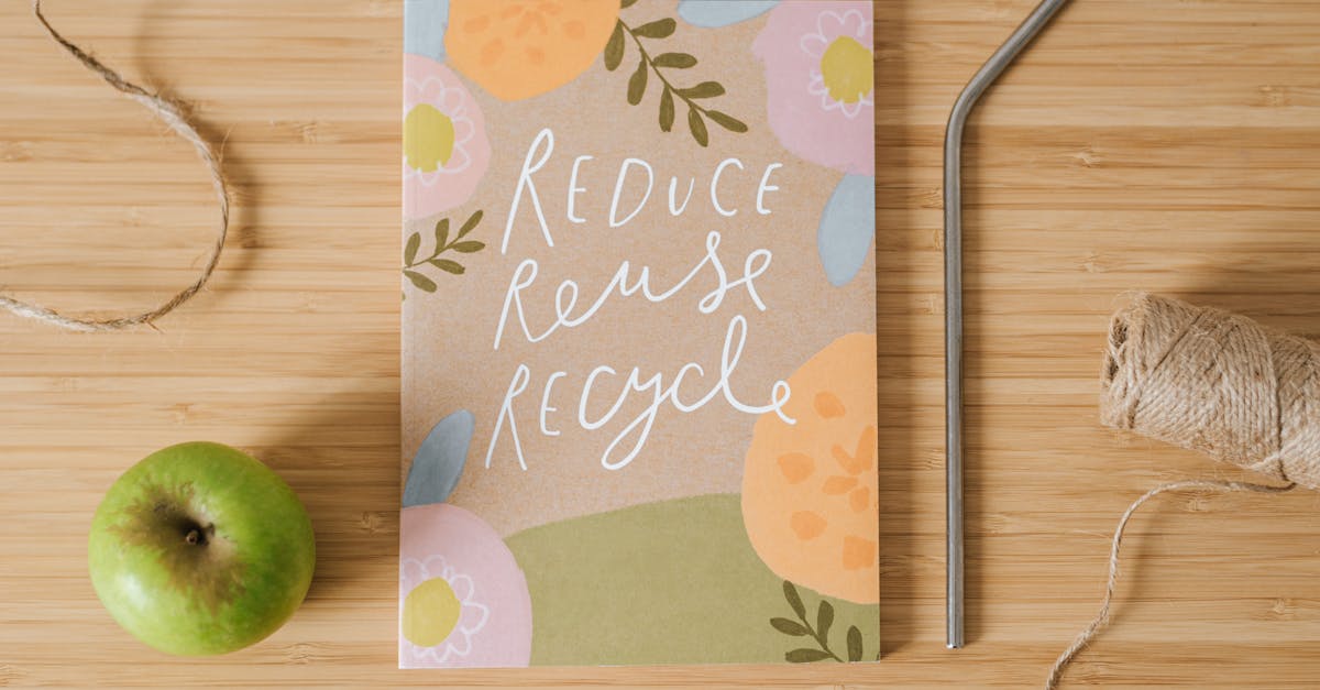 découvrez comment faire des choix durables qui préservent notre planète. adoptez des alternatives écoresponsables pour un mode de vie plus respectueux de l'environnement.