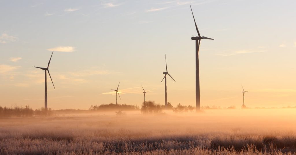 Pétition écologique : Comment mobiliser pour un avenir durable