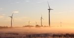 Pétition écologique : Comment mobiliser pour un avenir durable