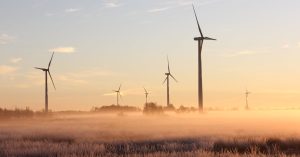 Pétition écologique : Comment mobiliser pour un avenir durable