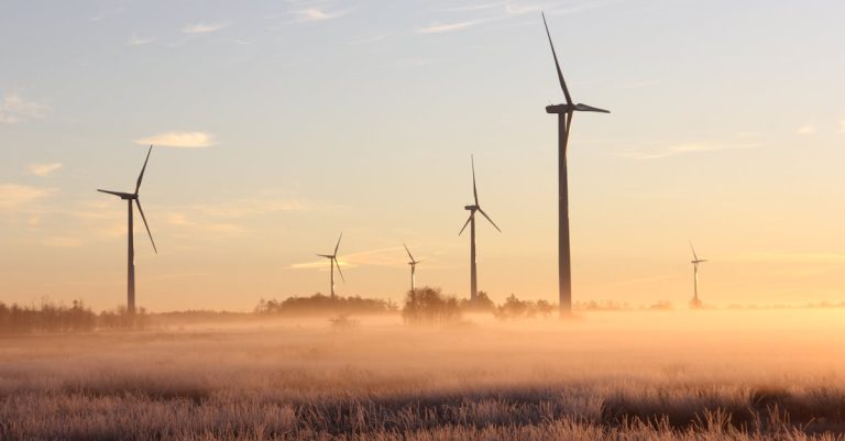 Pétition écologique : Comment mobiliser pour un avenir durable