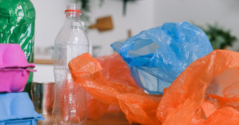 Réduction de l’empreinte : 5 astuces pour un mode de vie plus durable