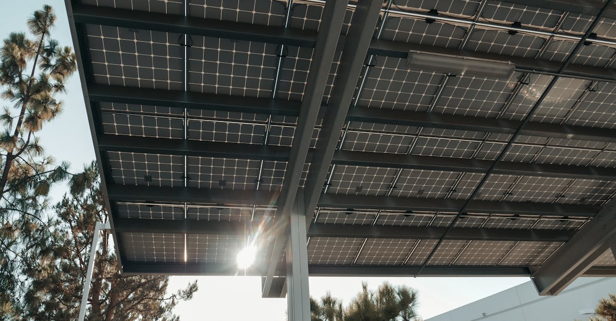 découvrez les ressources renouvelables, des solutions durables pour un avenir plus vert. explorez les différentes sources d'énergie renouvelable, leur impact environnemental et leur importance dans la lutte contre le changement climatique.