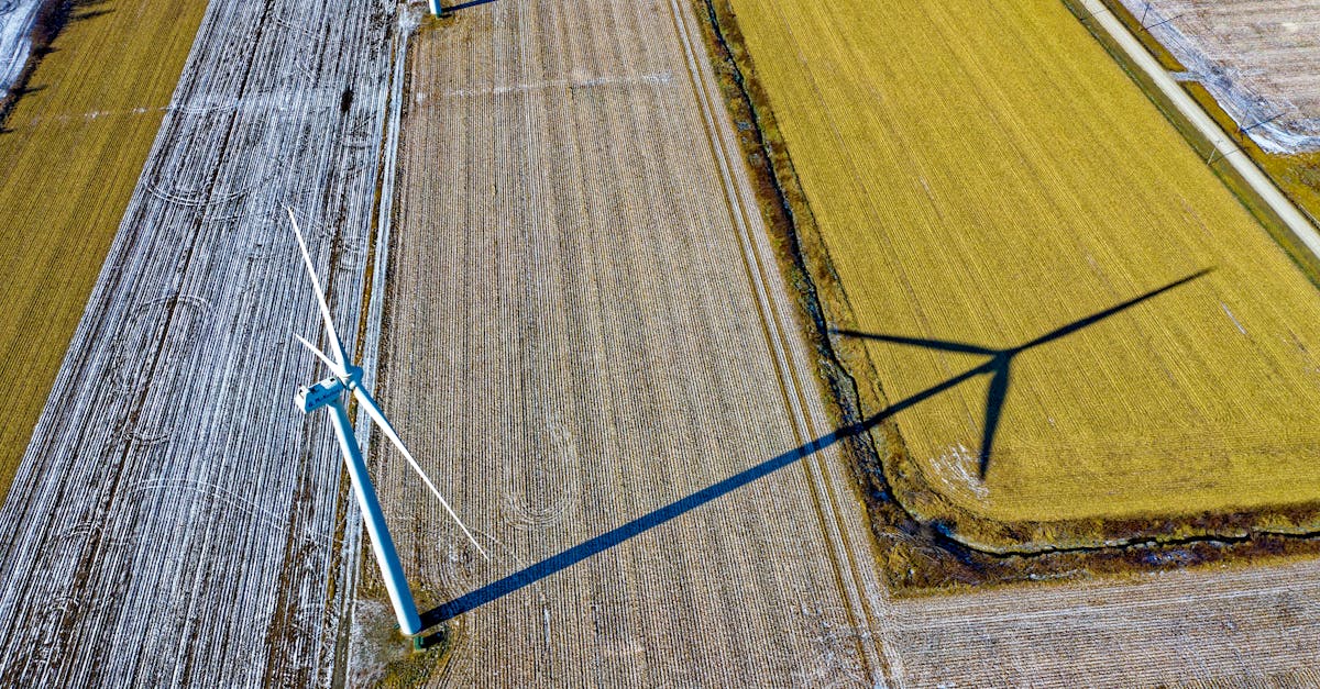 Soutien aux énergies vertes : Comment favoriser la transition énergétique et réduire notre empreinte carbone