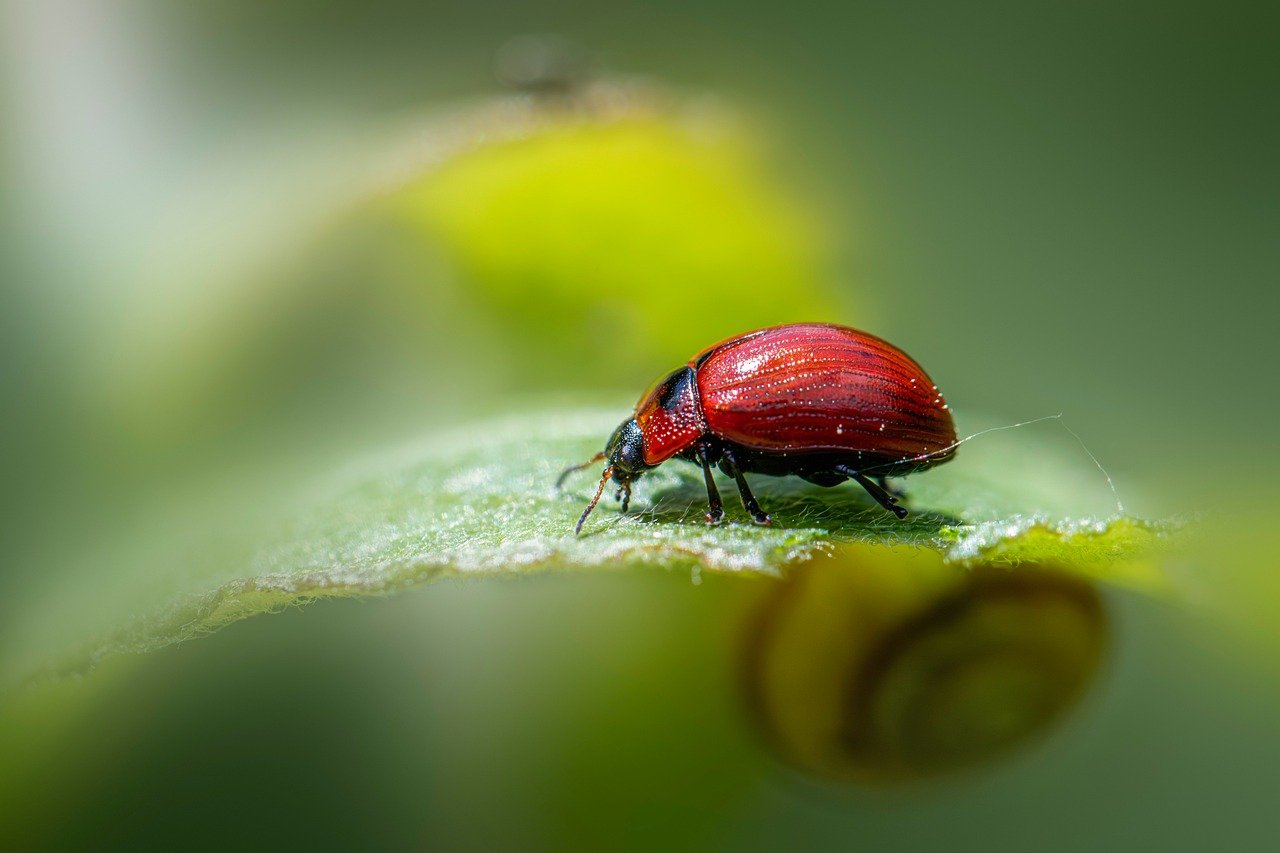 découvrez l'écologie numérique, un domaine consacré à la compréhension des interactions entre le numérique et l'environnement. explorez comment les technologies peuvent promouvoir la durabilité et réduire l'impact écologique, tout en favorisant une usage responsable des ressources numériques.