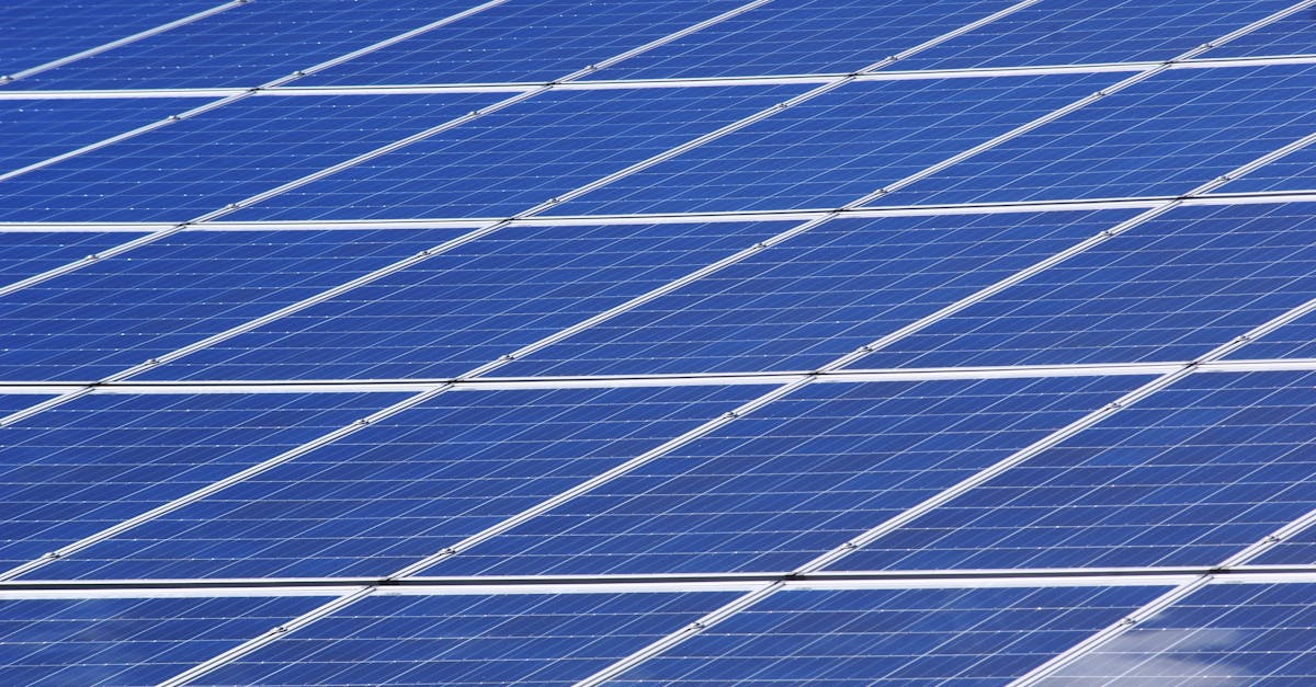 découvrez des alternatives écologiques pour un mode de vie durable. adoptez des produits respectueux de l'environnement, réduisez votre empreinte carbone et participez à la protection de notre planète grâce à des choix éclairés et responsables.