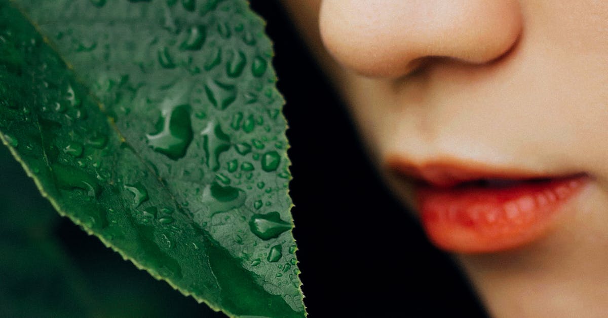 découvrez l'éco-innovation, un concept révolutionnaire qui combine durabilité et technologie pour créer des solutions respectueuses de l'environnement. explorez des idées novatrices qui contribuent à un avenir plus vert et durable.