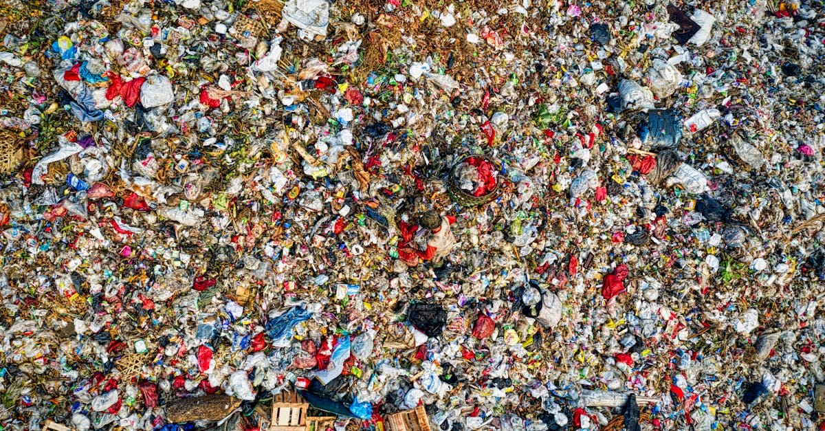 découvrez l'empreinte écologique, un indicateur clé de l'impact de nos activités sur l'environnement. apprenez à réduire votre empreinte pour un avenir durable et respectueux de la planète.