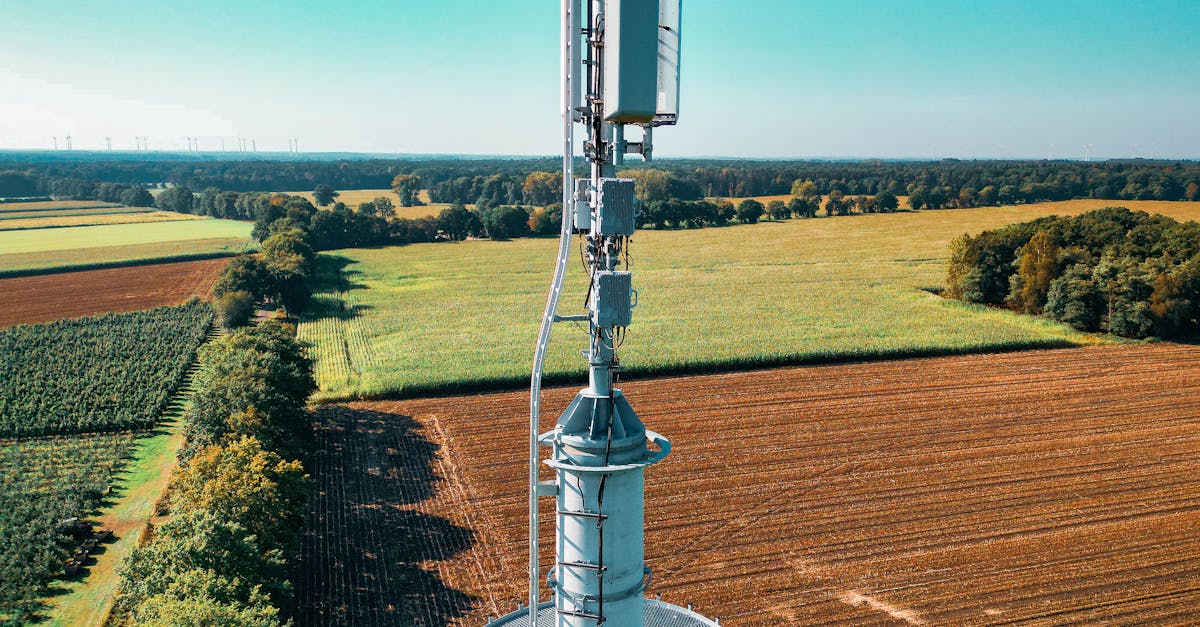 découvrez le concept des réseaux écologiques, essentiels pour la préservation de la biodiversité et la connectivité des habitats. apprenez comment ces infrastructures vertes contribuent à un environnement durable et favorisent la résilience des écosystèmes.