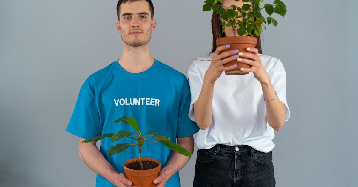 découvrez les associations environnementales qui œuvrent pour la protection de notre planète. engagez-vous pour des initiatives durables et participez à des projets visant à préserver la biodiversité et lutter contre le changement climatique.