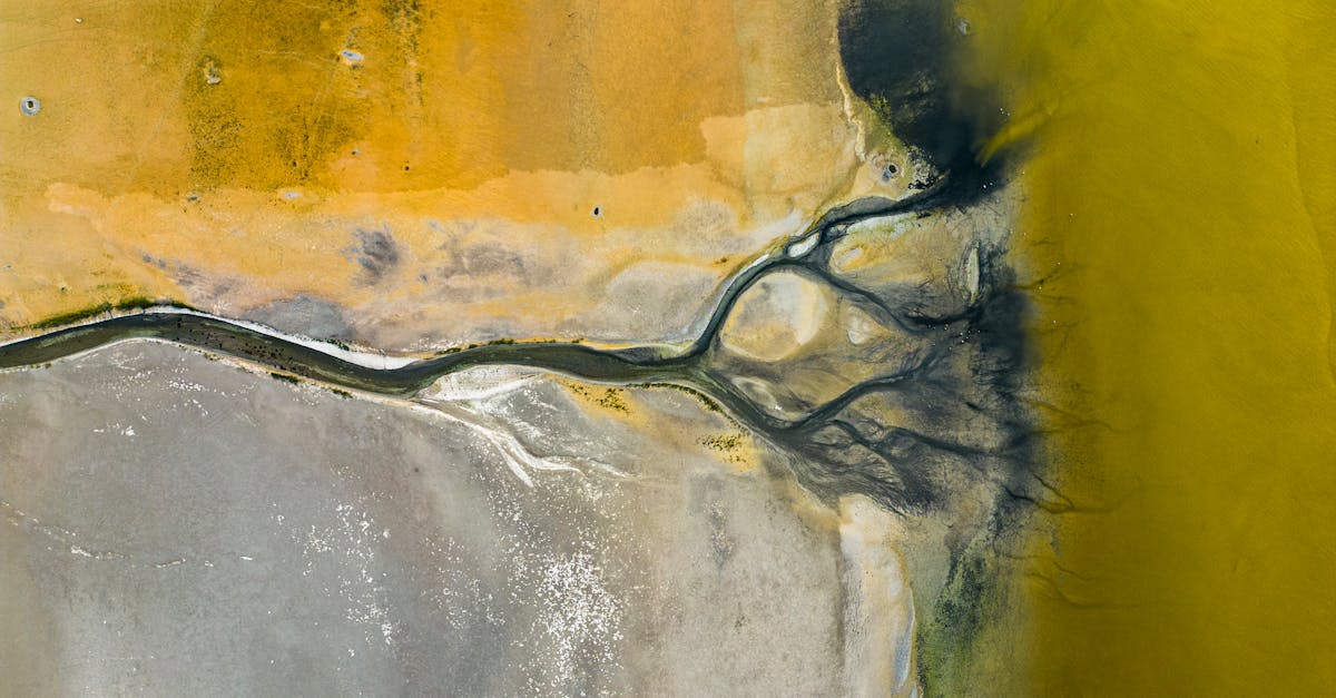 découvrez les associations environnementales œuvrant pour la protection de notre planète. impliquez-vous dans des initiatives écologiques pour préserver la biodiversité et lutter contre le changement climatique.
