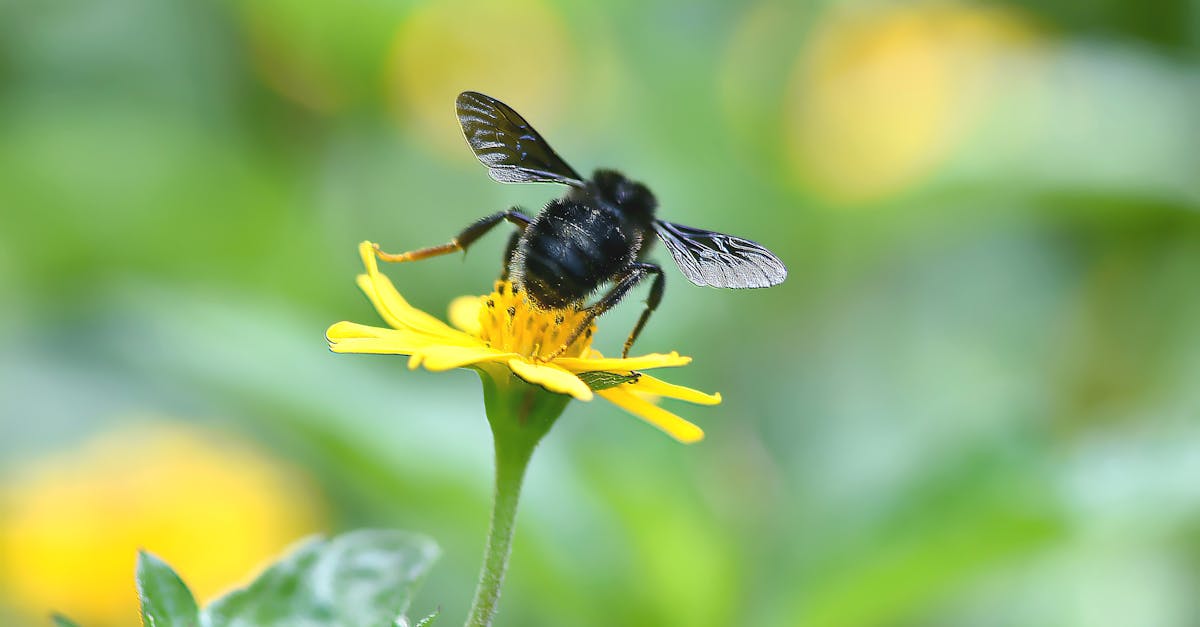 découvrez comment la cohérence environnementale favorise un développement durable en intégrant harmonieusement les pratiques écologiques dans les politiques et les projets. explorez les enjeux et solutions pour un futur respectueux de notre planète.