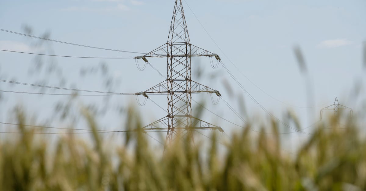 découvrez les systèmes d'énergie renouvelable, leur fonctionnement, leurs avantages et leur impact sur un avenir durable. explorez les différentes technologies, comme l'énergie solaire, éolienne et hydraulique, pour un monde plus vert.
