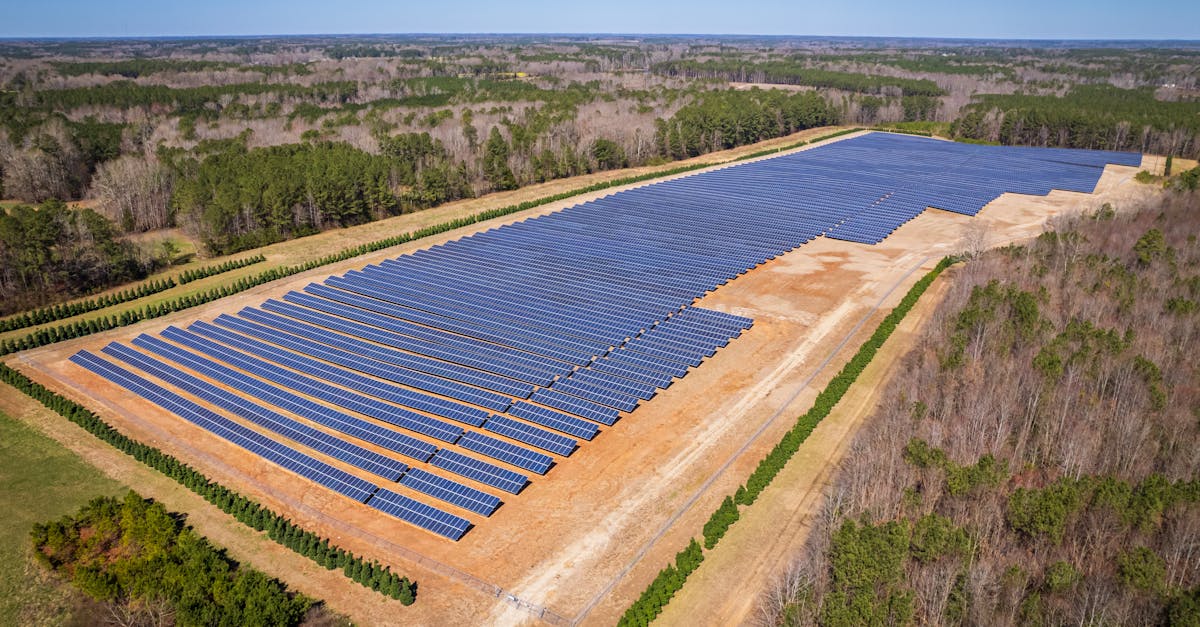 découvrez l'importance des ressources renouvelables pour un avenir durable. apprenez comment l'énergie solaire, éolienne et hydraulique contribue à la protection de notre planète tout en répondant à nos besoins énergétiques croissants.