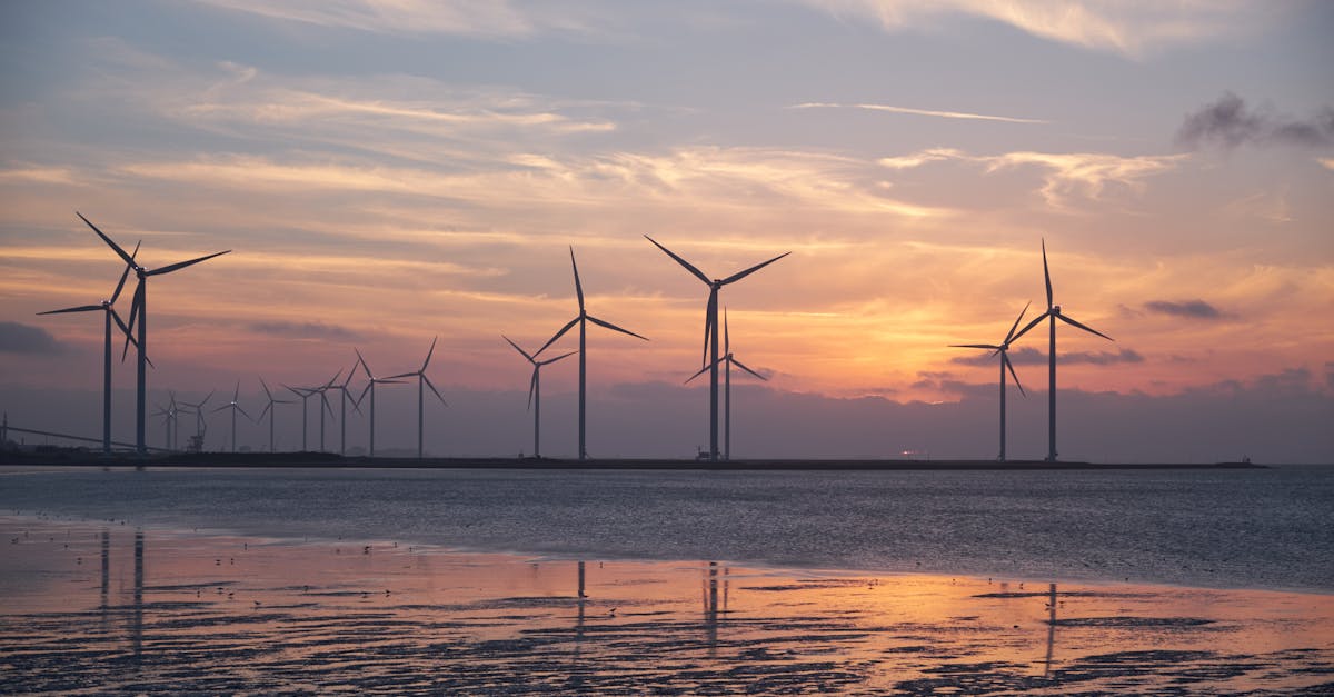 découvrez l'importance de la durabilité et ses impacts sur notre environnement, l'économie et la société. apprenez comment adopter des pratiques durables au quotidien pour un avenir plus vert et responsable.