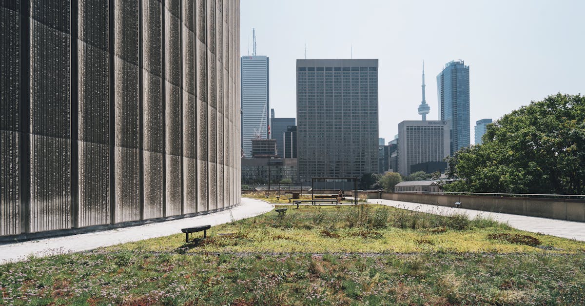 découvrez les principes de la durabilité au cœur de notre avenir. apprenez comment adopter des pratiques respectueuses de l'environnement, économiser des ressources et promouvoir un mode de vie durable pour les générations futures.
