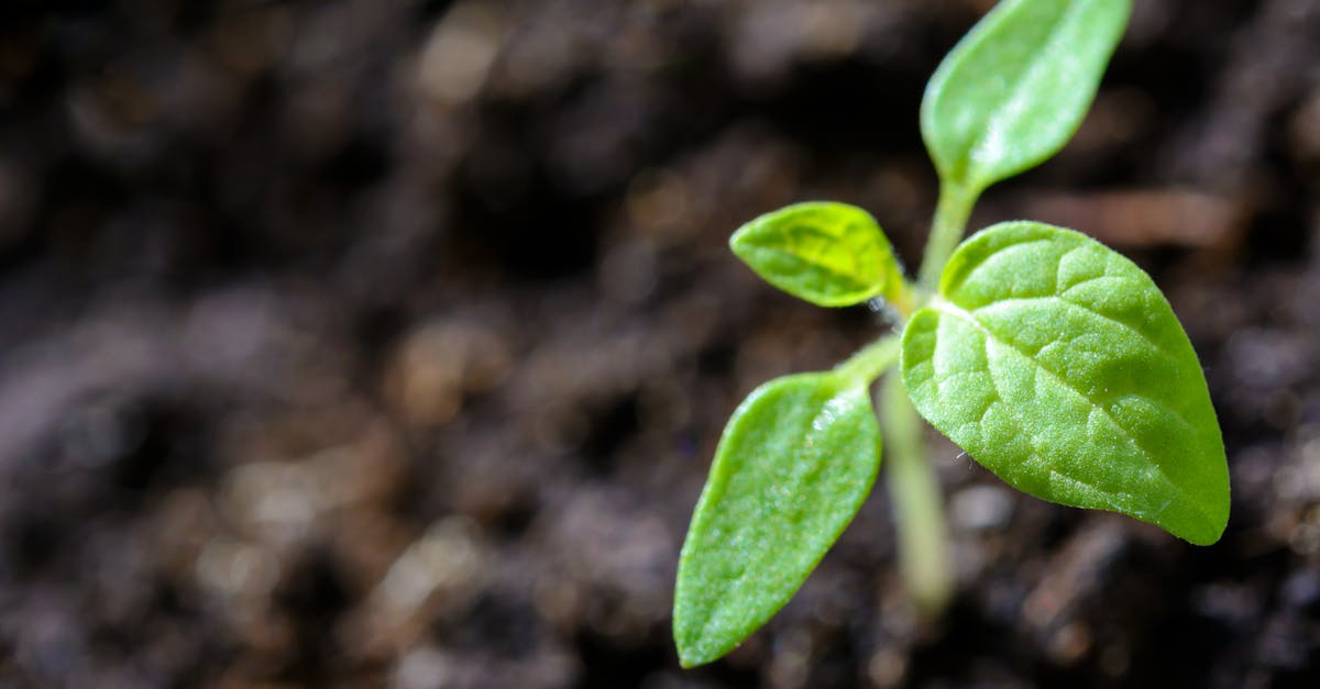 découvrez l'importance de la durabilité et comment elle façonne notre avenir. explorez des pratiques écoresponsables, des innovations vertes et des solutions pour préserver notre planète tout en répondant aux besoins des générations présentes et futures.