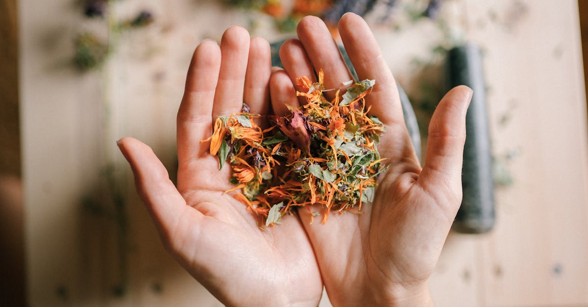découvrez des alternatives durables qui vous permettent de réduire votre impact environnemental. explorez des produits écoresponsables et des solutions innovantes pour un mode de vie plus vert.