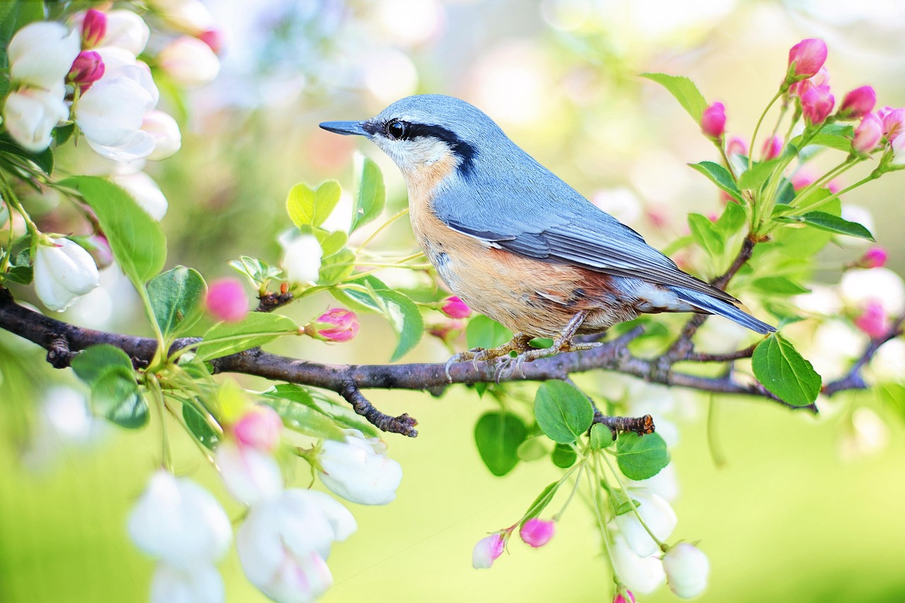 découvrez l'importance d'un écosystème durable, sa contribution à la biodiversité, et des solutions pour préserver notre environnement tout en favorisant un développement responsable.