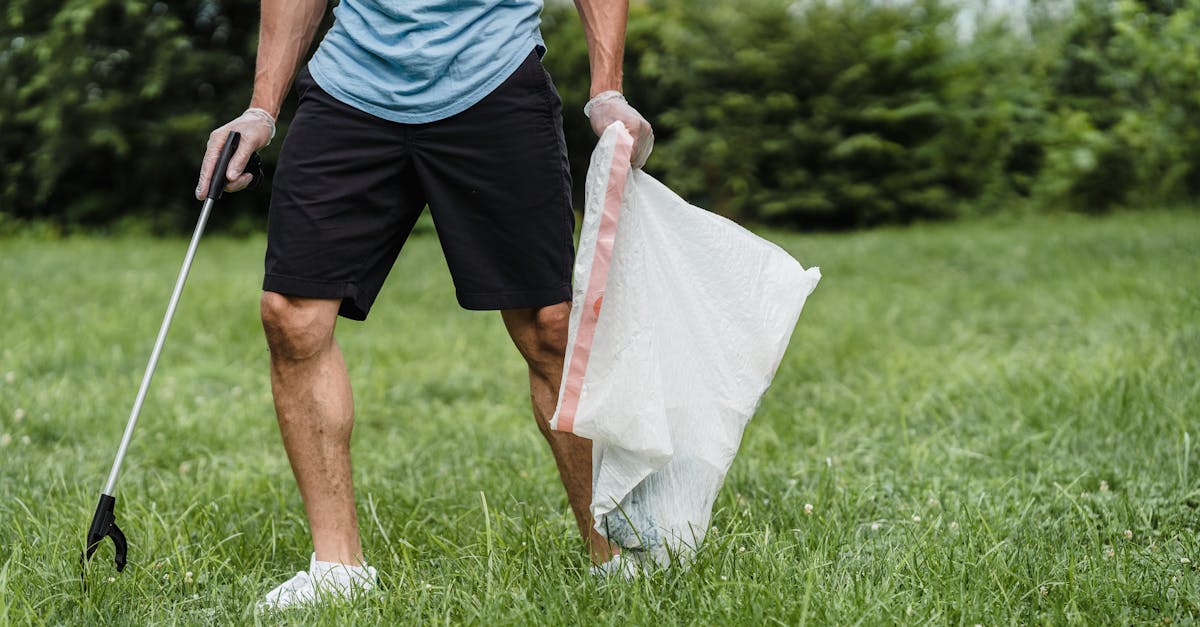découvrez comment adopter un mode de vie durable avec des conseils pratiques, des astuces écologiques et des choix responsables qui soutiennent l'environnement tout en améliorant votre bien-être au quotidien.