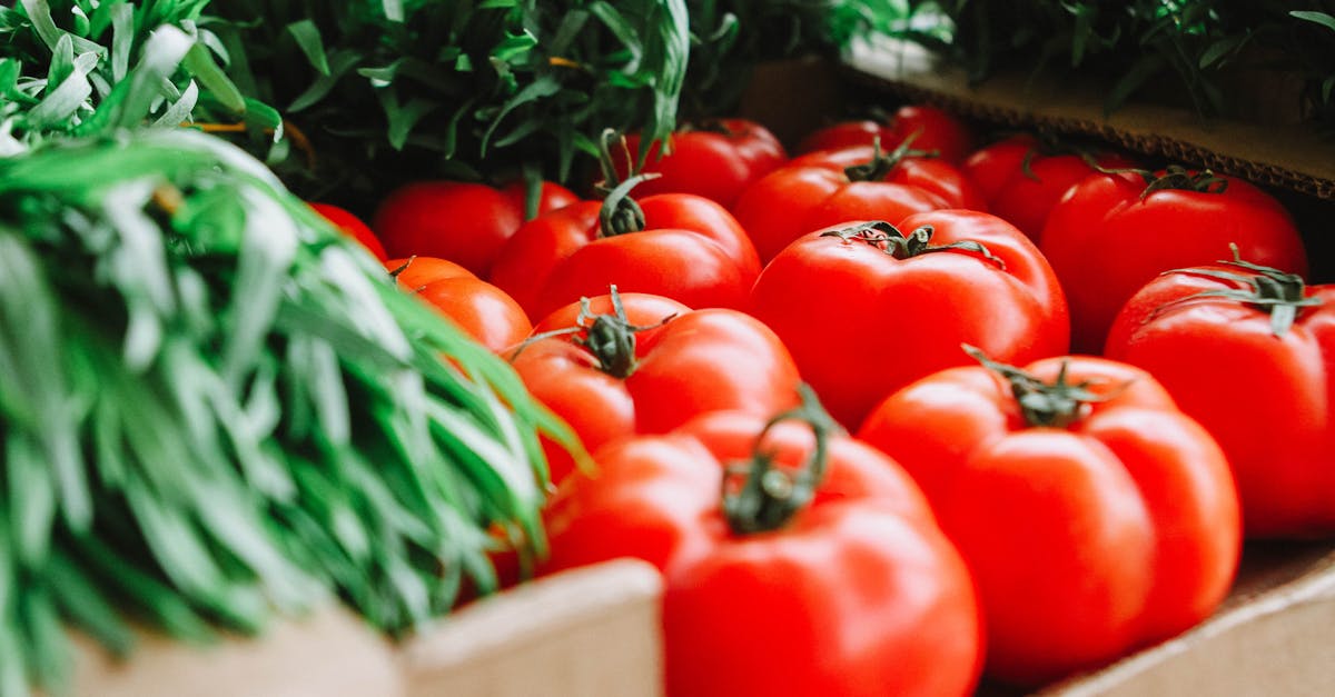 découvrez comment adopter une alimentation durable qui respecte l'environnement tout en préservant votre santé. explorez des conseils pratiques, des recettes équilibrées et des astuces pour réduire votre empreinte carbone à chaque repas.
