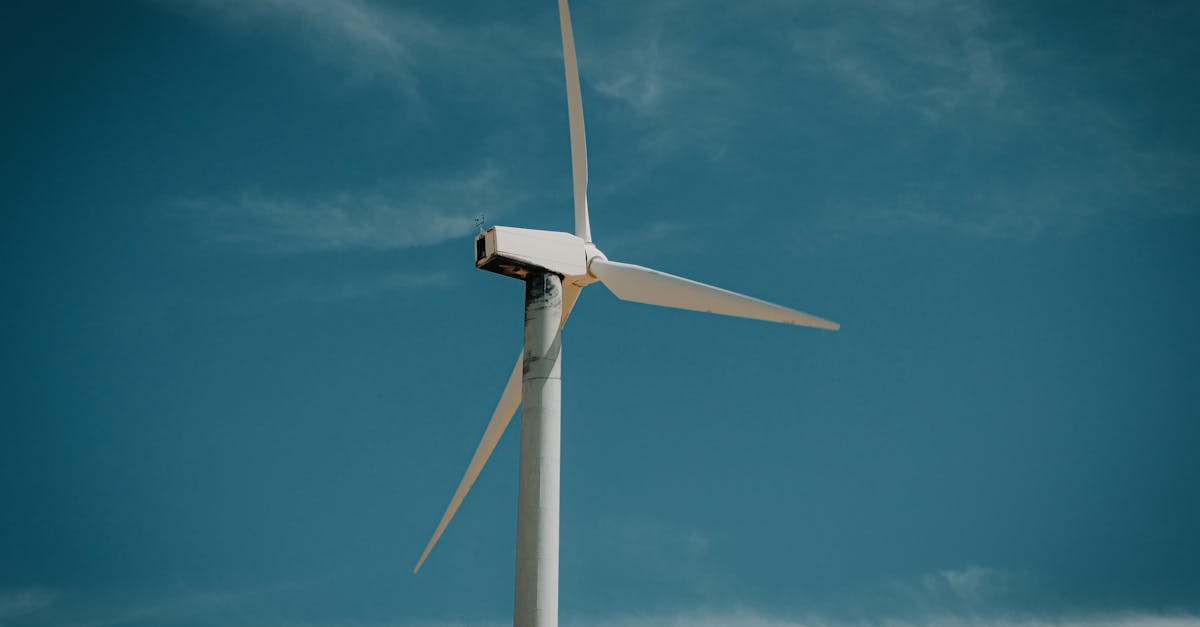 découvrez comment la transition durable transforme nos sociétés vers un avenir respectueux de l'environnement. explorez les stratégies, les innovations et les actions nécessaires pour construire un monde durable et prospère.