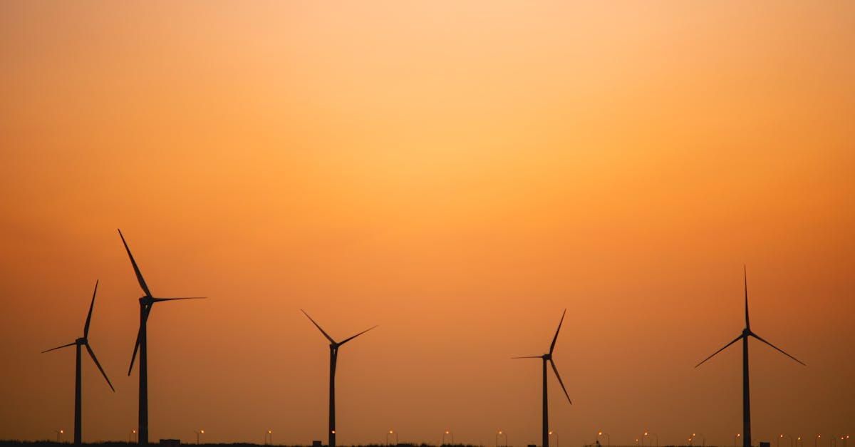 découvrez comment la transition durable façonne un avenir respectueux de l'environnement. explorez des stratégies, des initiatives et des innovations pour promouvoir un développement durable et responsable.