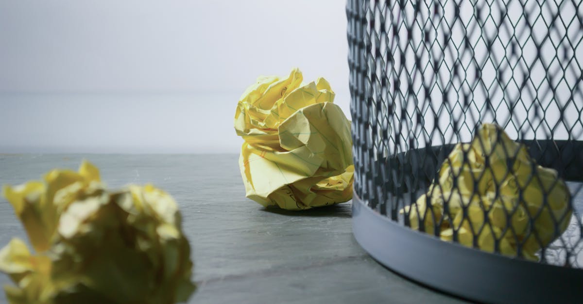 découvrez les meilleures pratiques en matière de gestion des déchets. apprenez comment réduire, réutiliser et recycler efficacement pour un environnement plus durable.