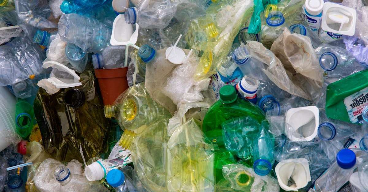 découvrez des solutions innovantes et durables pour une gestion efficace des déchets. optimisez vos pratiques de recyclage et minimisez votre impact environnemental grâce à nos conseils et stratégies en gestion des déchets.
