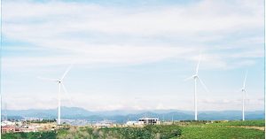 Actions de virages écologiques : comment transformer notre quotidien pour un avenir durable