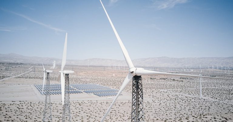 Développement social et environnemental : enjeux et initiatives pour un avenir durable