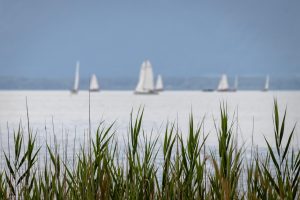La greenscow mini 6,50 : une innovation en matière de voile durable pour l’environnement