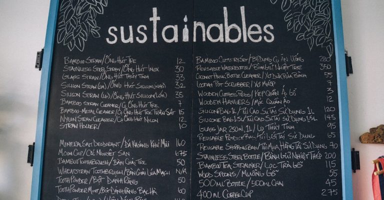 Lancements de produits verts : une nouvelle ère pour la consommation responsable