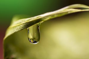 Les innovations écologiques au service de notre planète