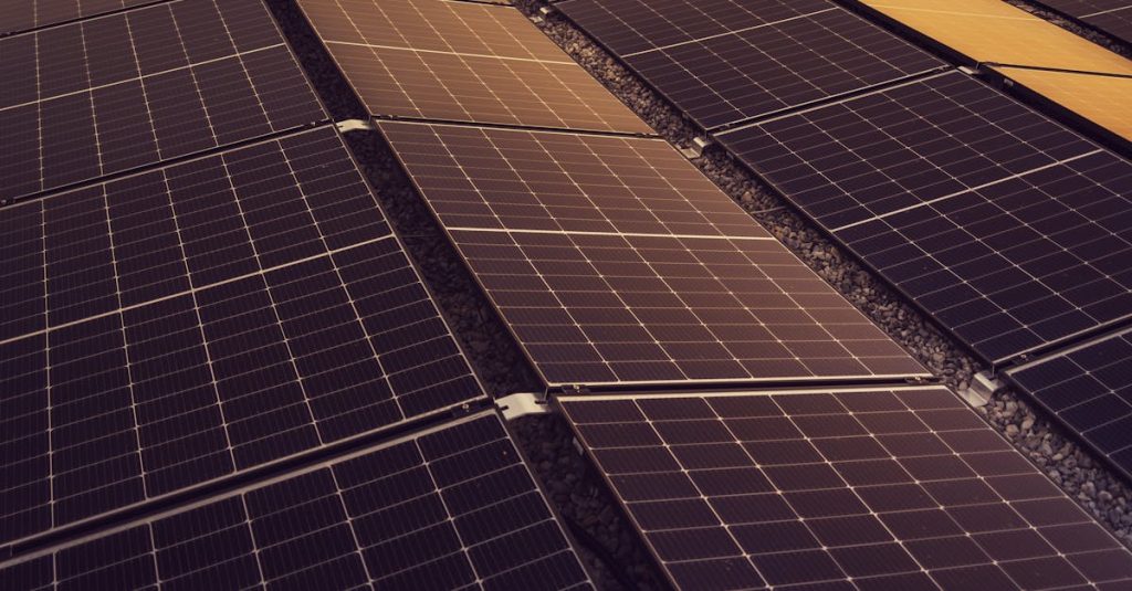 Protection du climat : Les gestes quotidiens pour un avenir durable