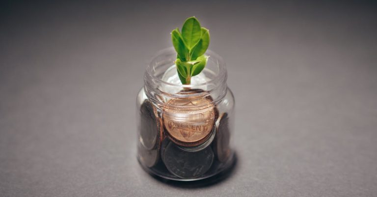 Sécurité environnementale : enjeux et solutions pour un avenir durable