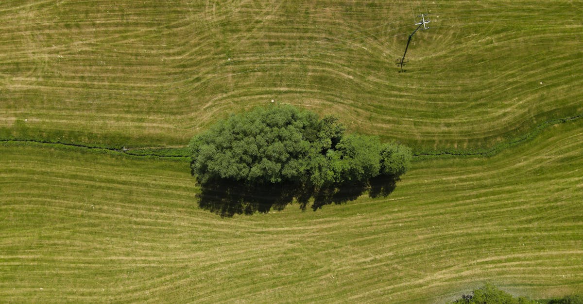 découvrez les réglementations environnementales et leur impact sur la protection de notre planète. apprenez comment elles régissent les activités industrielles, protègent la biodiversité et encouragent des pratiques durables pour un avenir plus vert.