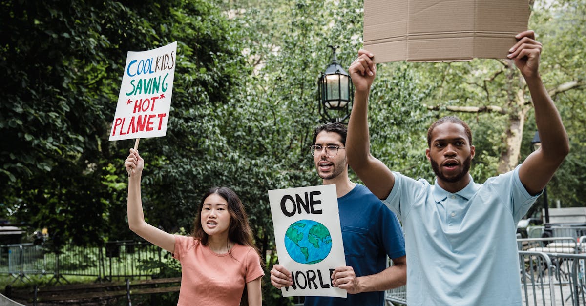 découvrez comment la solidarité environnementale peut transformer notre approche face aux enjeux écologiques. rejoignez un mouvement collectif visant à promouvoir des actions durables et responsables pour protéger notre planète.