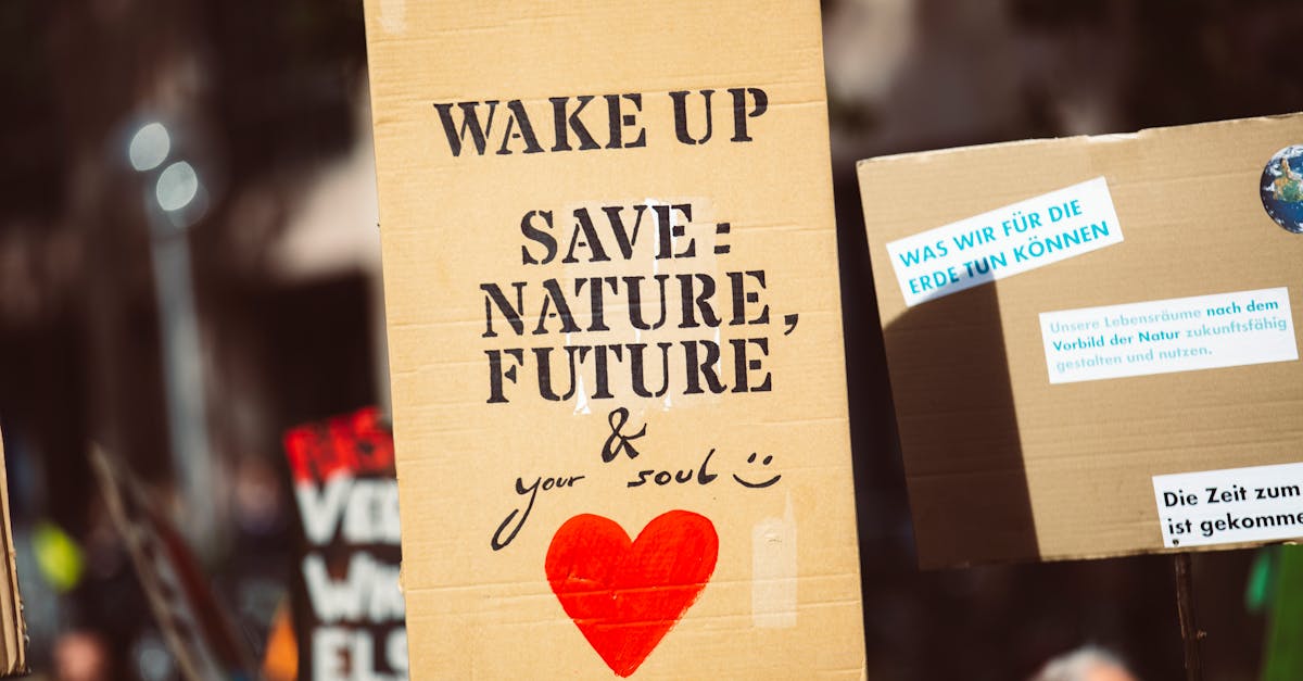 découvrez comment la solidarité environnementale peut transformer notre monde. rejoignez le mouvement pour protéger notre planète et promouvoir des initiatives durables qui unissent les communautés pour un avenir meilleur.