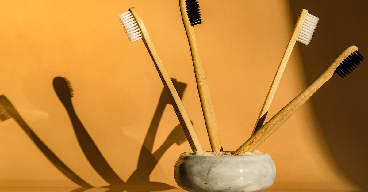 découvrez notre sélection de produits durables, conçus pour respecter l'environnement tout en offrant qualité et style. engagez-vous pour un avenir plus vert avec des choix éco-responsables adaptés à votre quotidien.