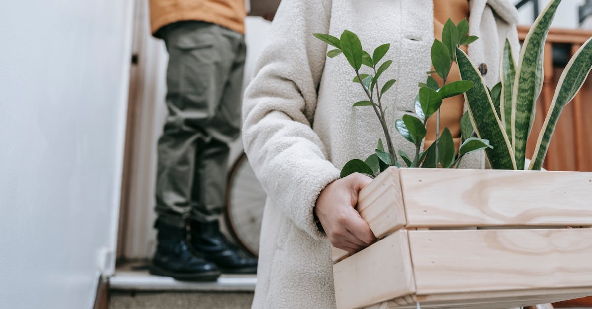 découvrez l'immobilier durable : nos solutions innovantes et respectueuses de l'environnement pour construire un avenir responsable, alliant confort, économie d'énergie et préservation de notre planète.