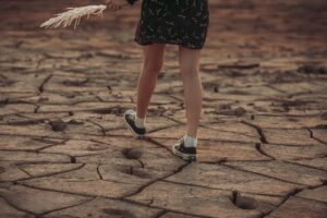 De l’empreinte carbone d’un produit à son empreinte environnementale globale