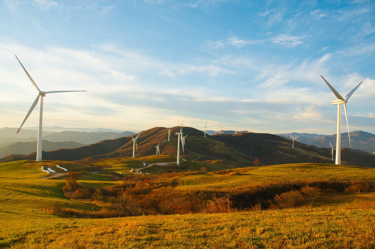 L’Engagement vers une Mode Durable : Vers une Industrie Vestimentaire Écologique