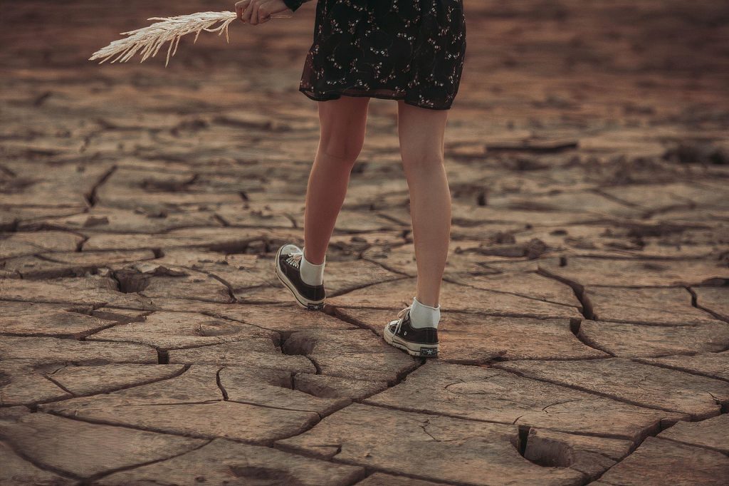 Les enjeux du changement climatique : comprendre et agir pour notre planète