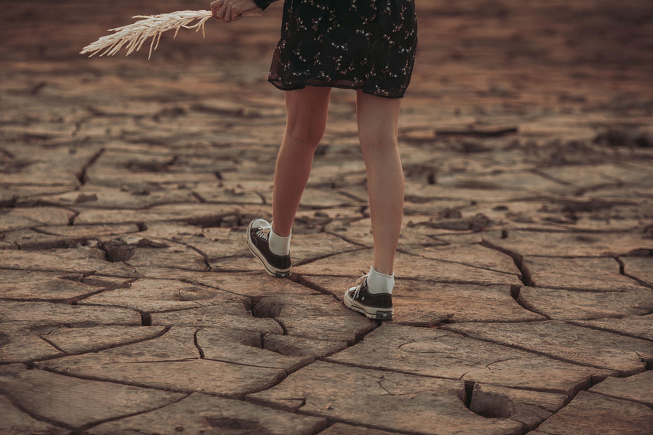 Les enjeux du changement climatique : comprendre et agir pour notre planète