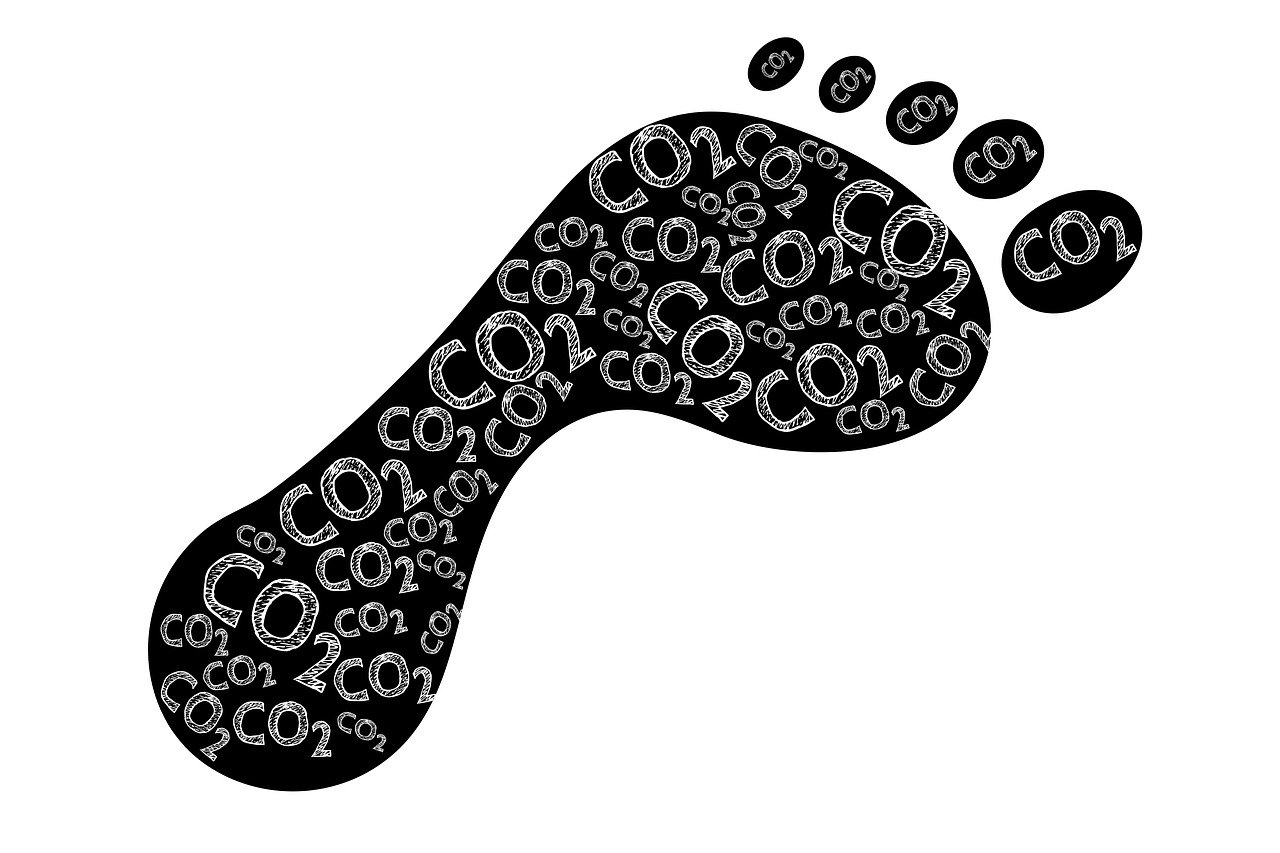 découvrez ce qu'est l’empreinte carbone, son importance pour la planète et comment la réduire efficacement grâce à des gestes simples et des choix responsables.