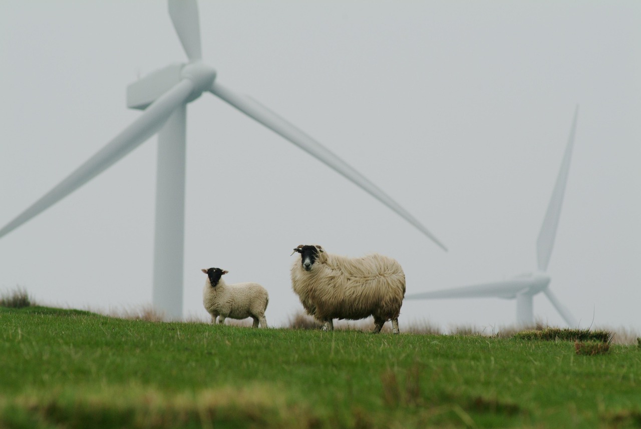 découvrez comment la durabilité façonne un avenir responsable en adoptant des pratiques écologiques, des choix éthiques et des solutions innovantes pour préserver notre environnement et améliorer la qualité de vie.